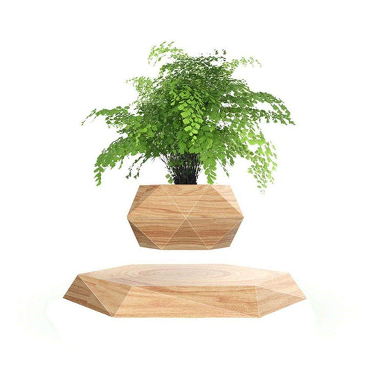 Kiko-ershaa Levitation Plant Pot Floating Air Bonsai Pot Suspension Flower Pot Planter for Desk Decoration