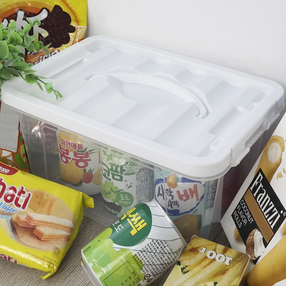 Innouse 6 Packs Small Storage Boxes 5 L, Clear Plastic Box with Handles