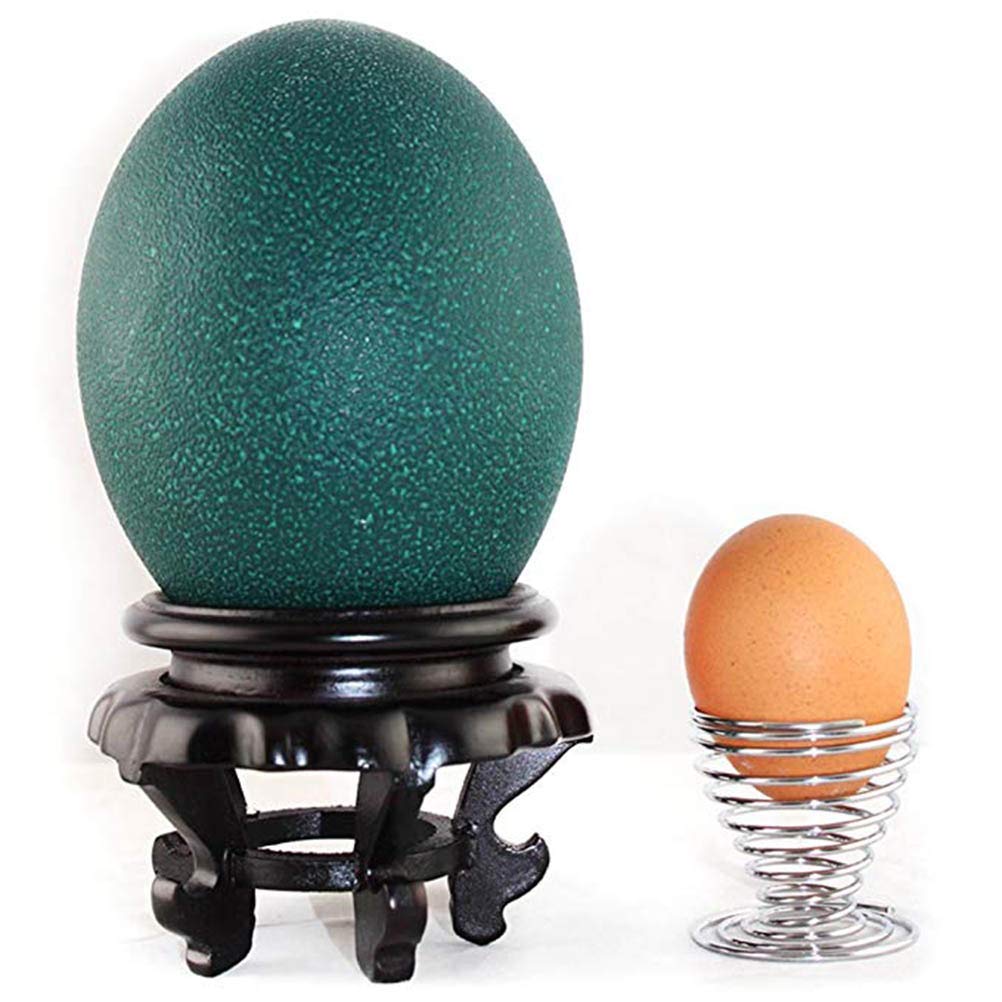 Nurnesy Ostrich Egg Display Stand, Carving Crafts, Ostrich Egg Tray Base Bottom,Ornament for Homes or Offices,High Stability (Black)