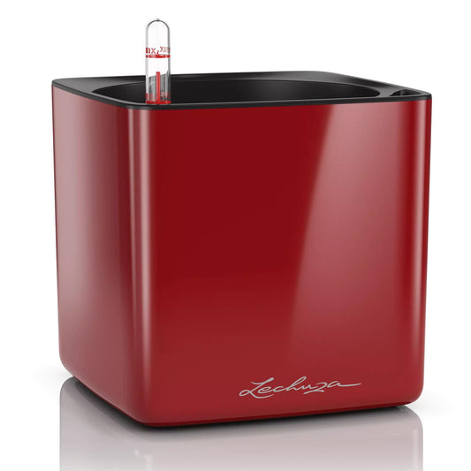 LECHUZA Self Watering Plant Pots Indoor CUBE Glossy 16 Small Plastic Planter without Drainage Hole H16 L16 W16 cm Red High-Gloss