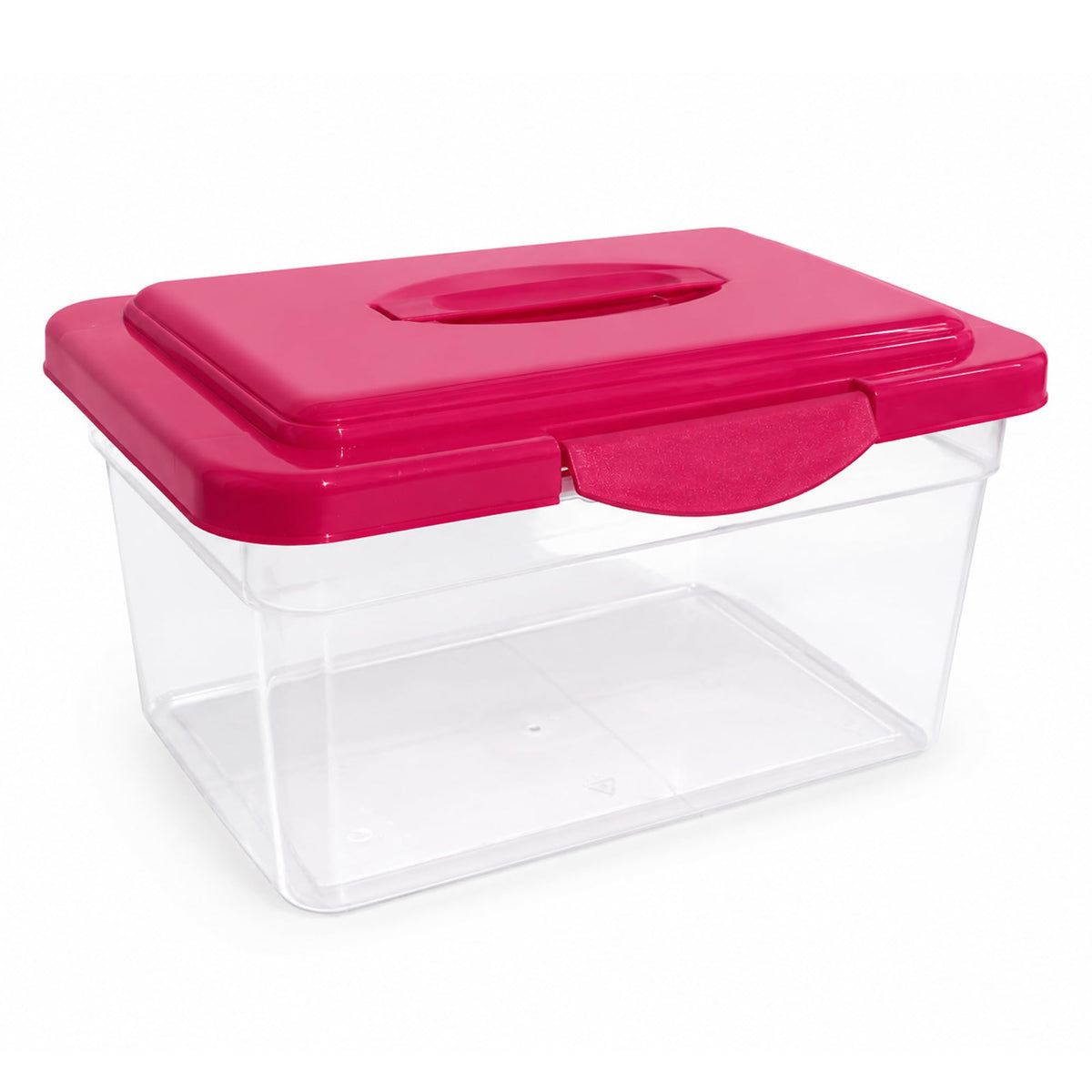 9L Storage Box with Secure Lid & Carry Handle | Stackable Clear Container