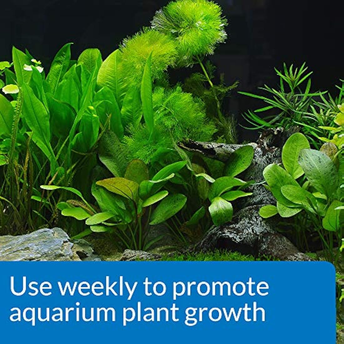 API LEAF ZONE Freshwater Aquarium Plant Fertilizer 237 ml Bottle