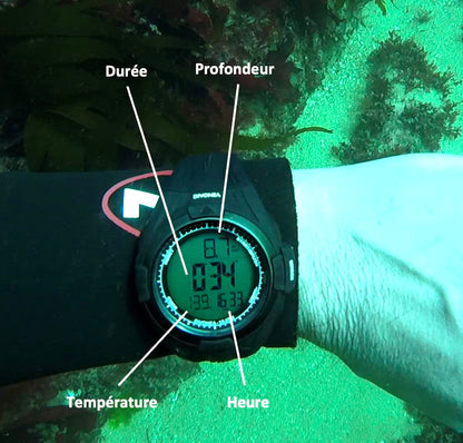 DiVONEA Spearfishing, Freediving and Dive Computer
