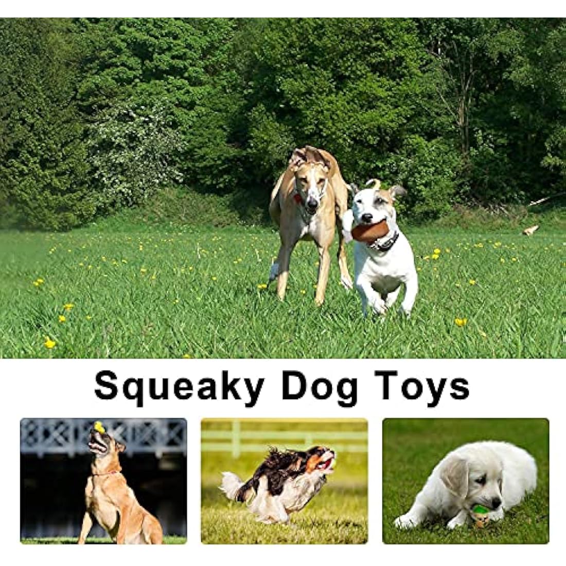 LEGEND SANDY Legend Sandy14 Pack Dog Squeaky Toys Cute Stuffed Plush Fruits Snacks and Vegetables Dog Toys for Puppy Small Dogs