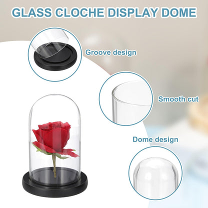 sourcing map Glass Cloche Display Dome, 5.9" x 3.5" Glass Dome Display Case Wood Base Tabletop Jar Case Decorative Bell Jar for Plant Home Decor