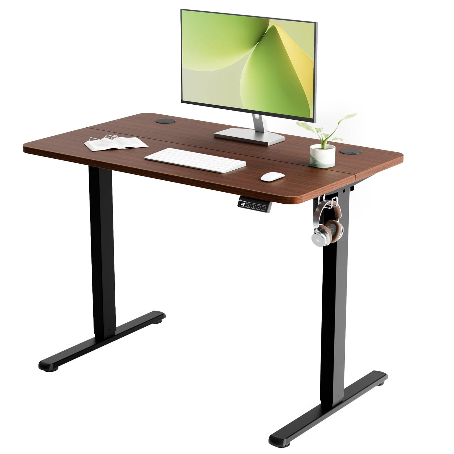 ERGOMAKER Electric Standing Desk 100x60cm, 2 Memory Presets, Black Walnut