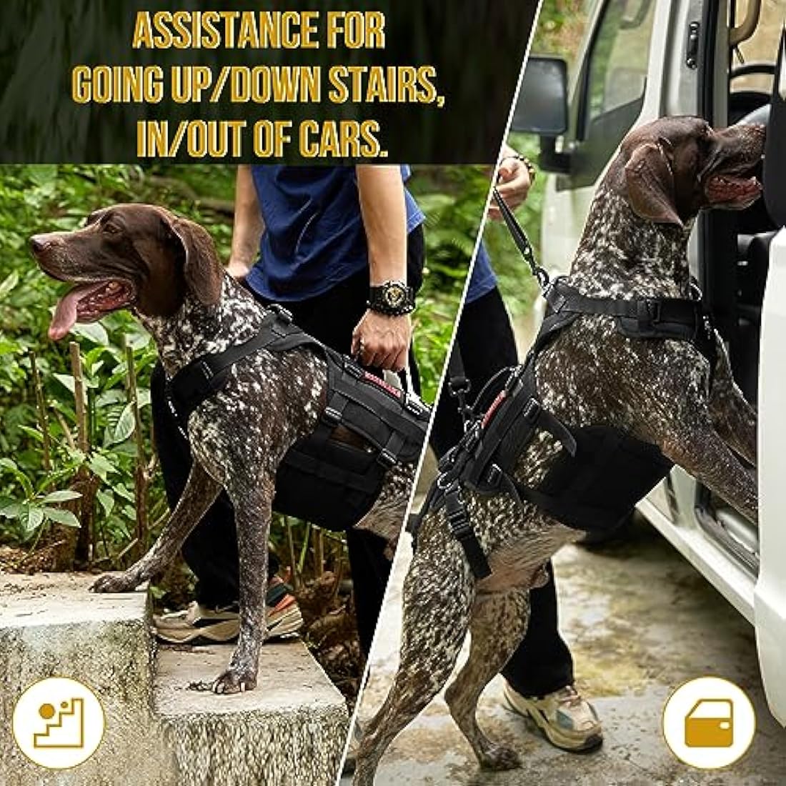 OneTigris Dog Lift Harness for Large Dogs, Dog Support Sling for Back Legs, Lifter with Handles Invictus Multifunctional Mobility Assistance Vest Hip Support Brace (Black, XL)