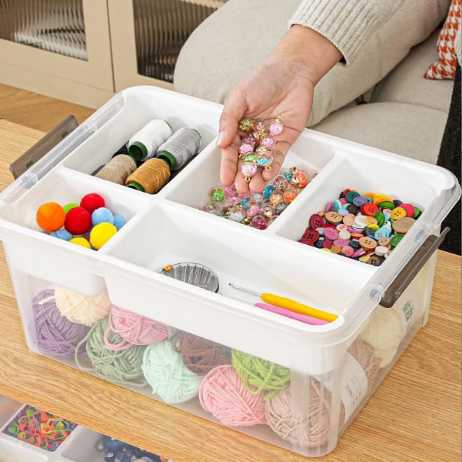 Clear Storage Box with Removable Tray, Plastic Storage Bins with Lids