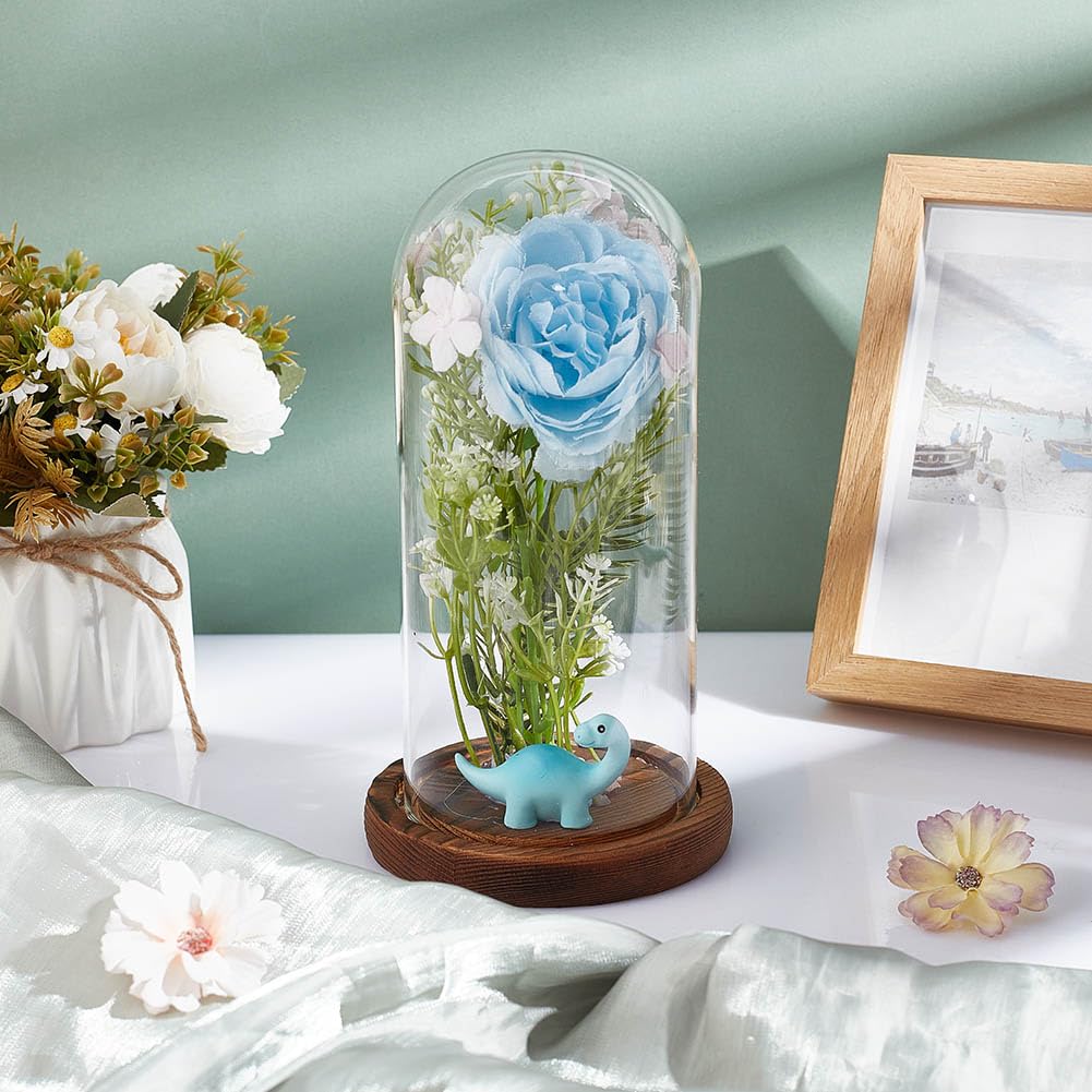 NBEADS Clear Glass Dome, Clear Glass Display Case with Camel Wood Base Decorative Display Dome Case for Plants Flower Display Photos Medals