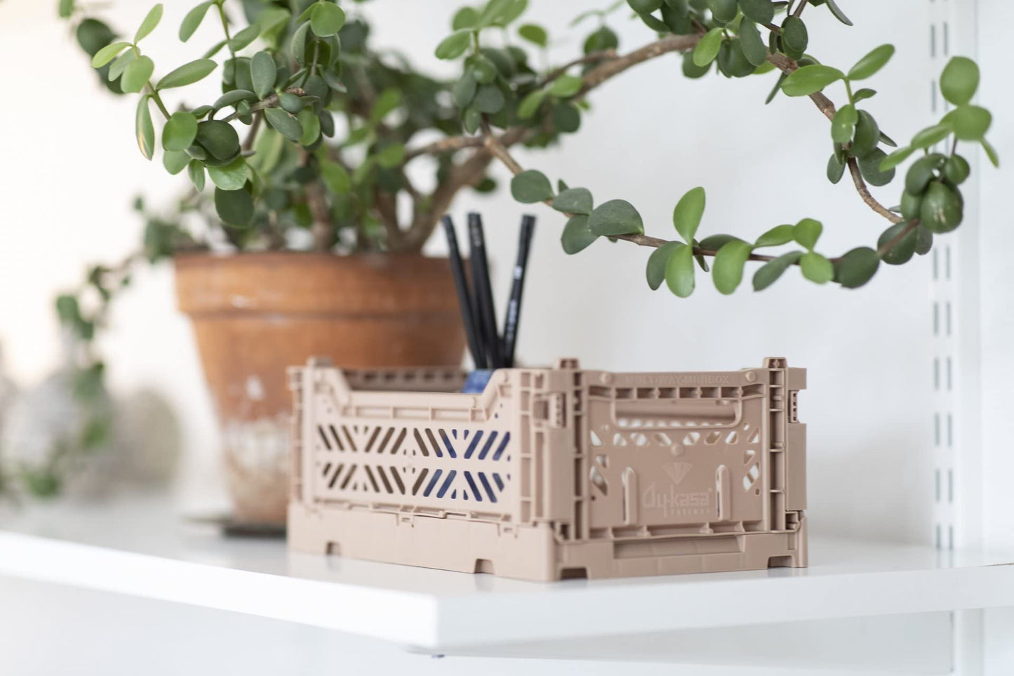 Ay-Kasa Folding Crate, Sturdy Folding Box, Plastic, Stackable, Pale Blue, Mini (27 x 17 x 11 cm)