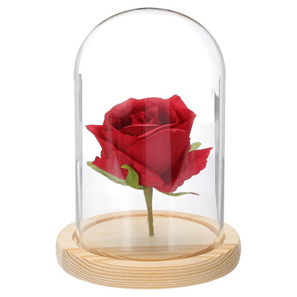 sourcing map Glass Cloche Display Dome, 5.9" x 3.5" Glass Dome Display Case Wood Base Tabletop Jar Case Decorative Bell Jar for Plant Home Decor