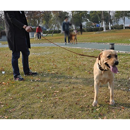 JYHY Leather Dog Leash with Double Handle - 6 ft Long & 5/8" Wide Braided Genuine Leather Dog Leash for Large, Medium & Small Dogs Training & Walking