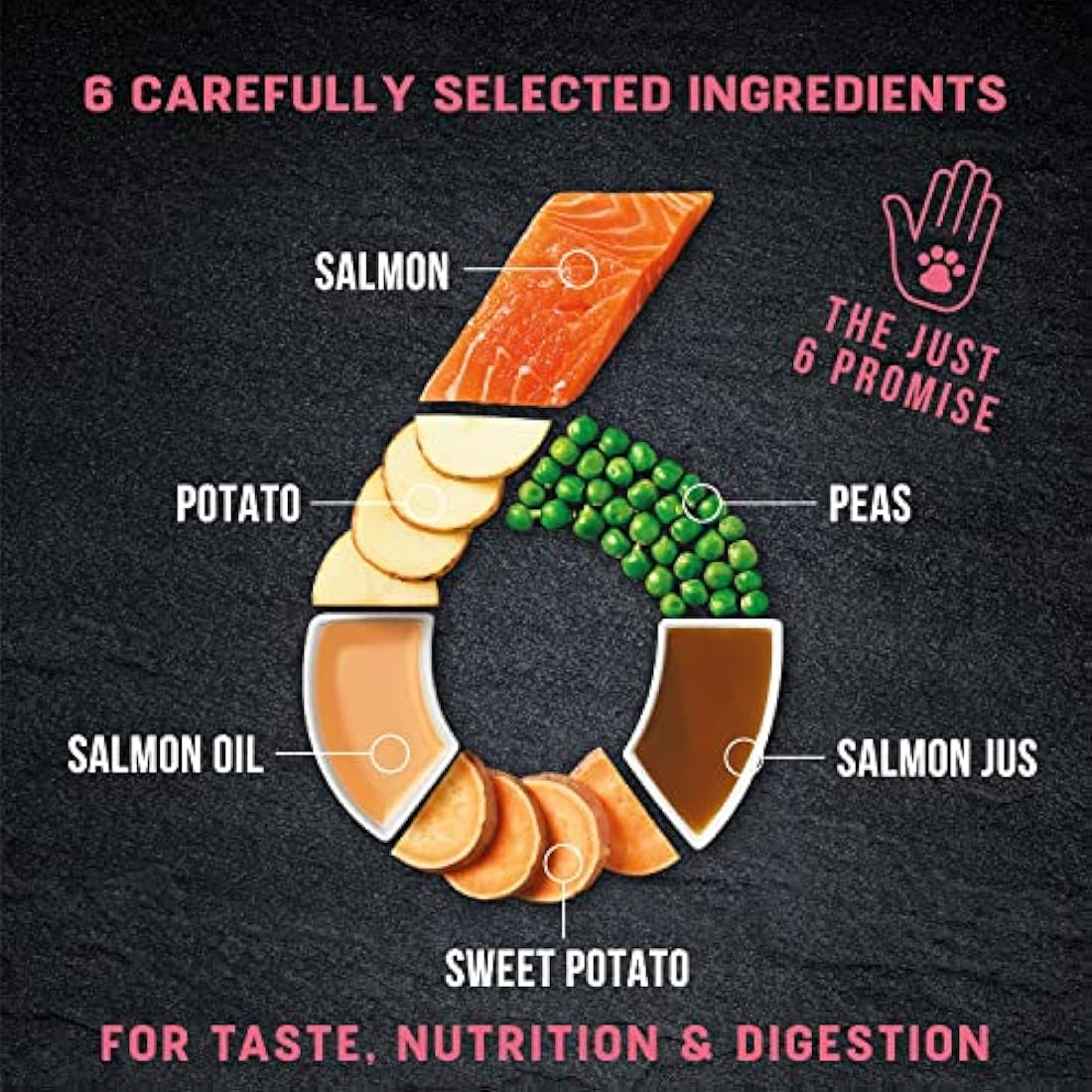 Harringtons Just 6 Complete Grain Free Hypoallergenic Salmon & Veg Dry Adult Dog Food 6kg - With Added Fresh Baked Bites