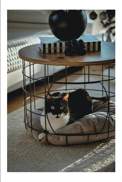 FUNTLY Coffee Table with Cat House, Modern 2-in-1 Side Table for Living Room, Hidden Pet Bed, Rustic Wood and Black Metal