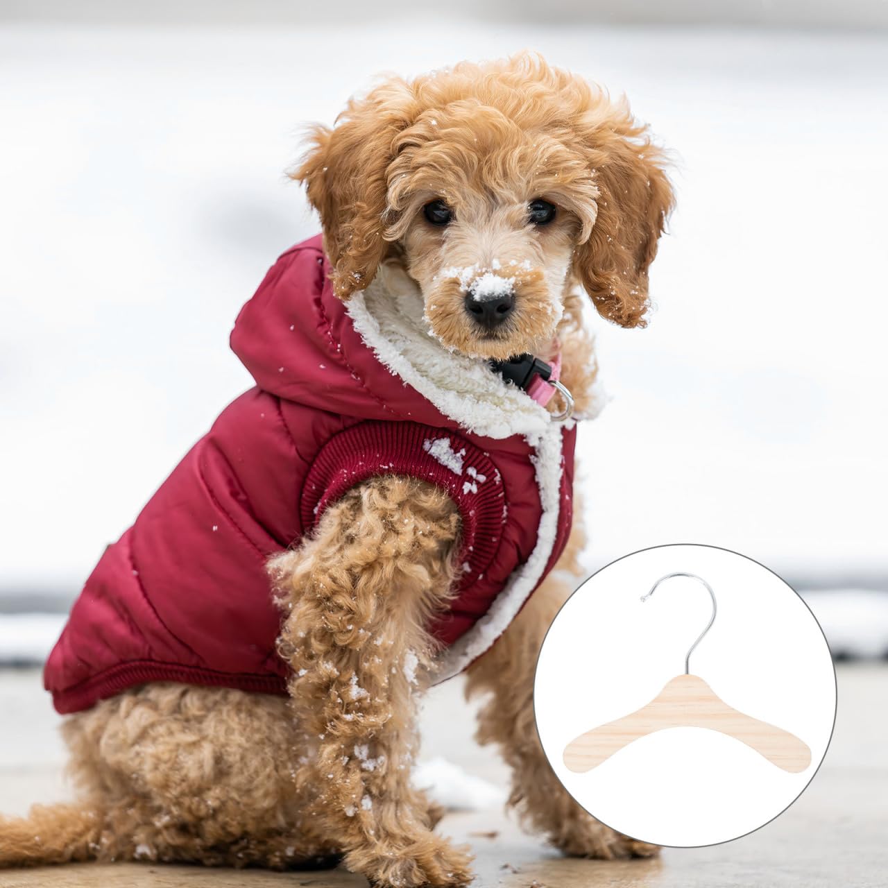Tomaibaby Pet Dog Clothes Hanger: Solid Wood Mini HangerSS - 10PCS Non Slip Baby Coat Hangers - Clothing Rackfor Pet Dogs, Cats, Babies