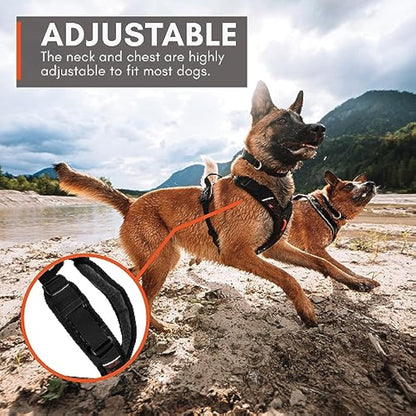 Rock Harness Parent (S)