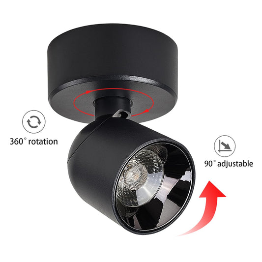 Budbuddy 12W LED Ceiling Spotlights Rotatable Wall Spotlights Swivel Black Wall Spotlamps Modern Indoor Wall Light for Corridor Living Room Office