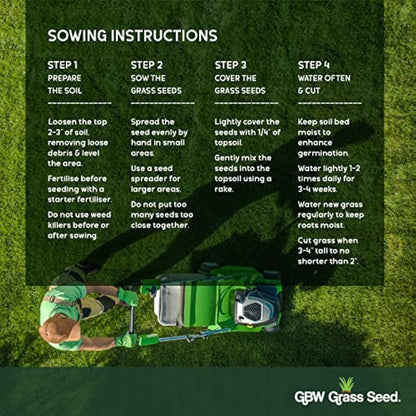 GBW Grass Seed 1kg - Covers up to 60 m2 (645 ft2) - Premium Quality Lawn Seed - Rapid Growth – Can Germinate as Quick as 10 days - Hard Wearing against Pet Urine - Tailored to UK Climate - 100% Refund