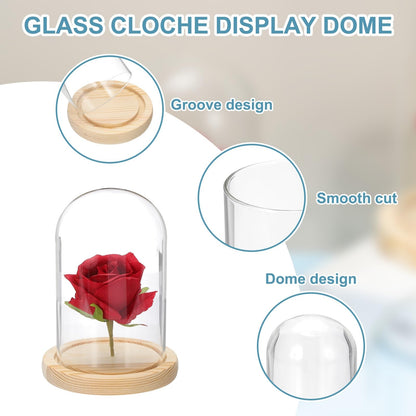 sourcing map Glass Cloche Display Dome, 5.9" x 3.5" Glass Dome Display Case Wood Base Tabletop Jar Case Decorative Bell Jar for Plant Home Decor
