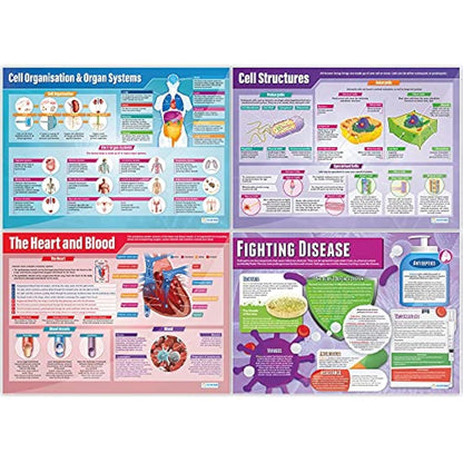 Daydream Education Biology Science Posters - Set of 13 - EXTRA LARGE A1 (850mm x 594mm) - Laminated - Science Secondary School Wall Charts for the Classroom