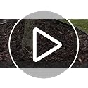 Easy to Install Lawn Edging Border - Simply Hammer into Place, No Trenches to Dig - Durable & Flexible Garden Edging - Invisible Grass & Path Edge from Recycled Plastic - 26.7 m / 87 ft Long