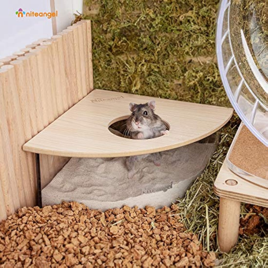 Niteangel Small Animal Sand-Bath Box - Acrylic Critter's Sand Bath Shower Room & Digging Sand Container for Hamsters Mice Lemming Gerbils or Other Small Pets