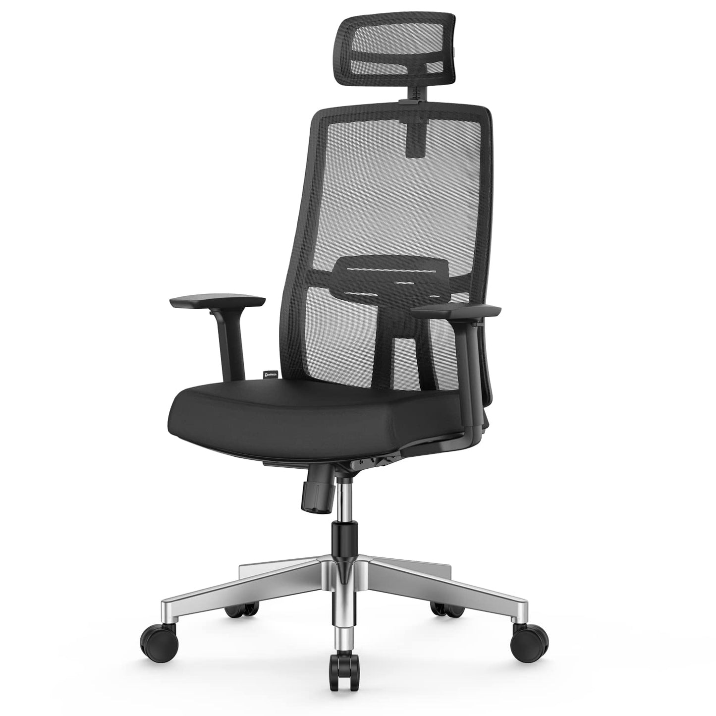 Duwinson Ergonomic Mesh Home Office Chair With Back Support, 3-Way Adjustment Armrest, Executive Desk Chair with Reclining Adjustment
