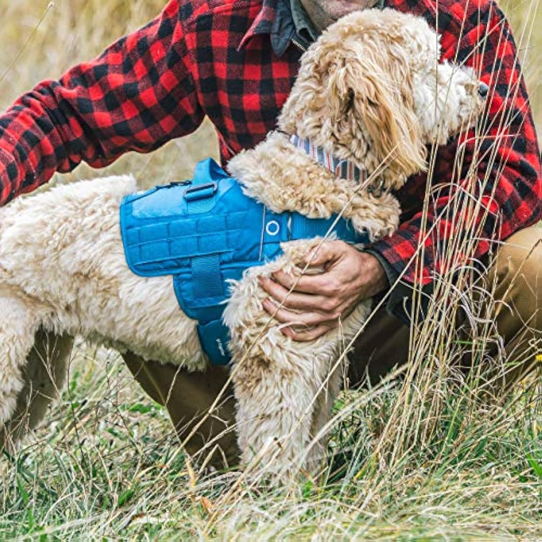 Kurgo RSG Dog Townie Harness, Easy On/Off Dog Hiking Harness, Adjustable, MOLLE Compatible, Medium-Black
