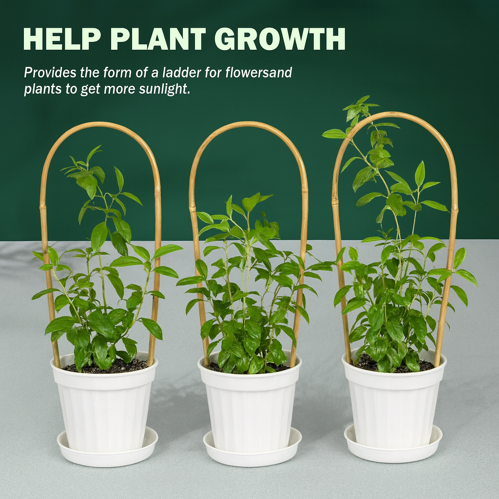 Bamboo Plant Support Arches  Set of 3
