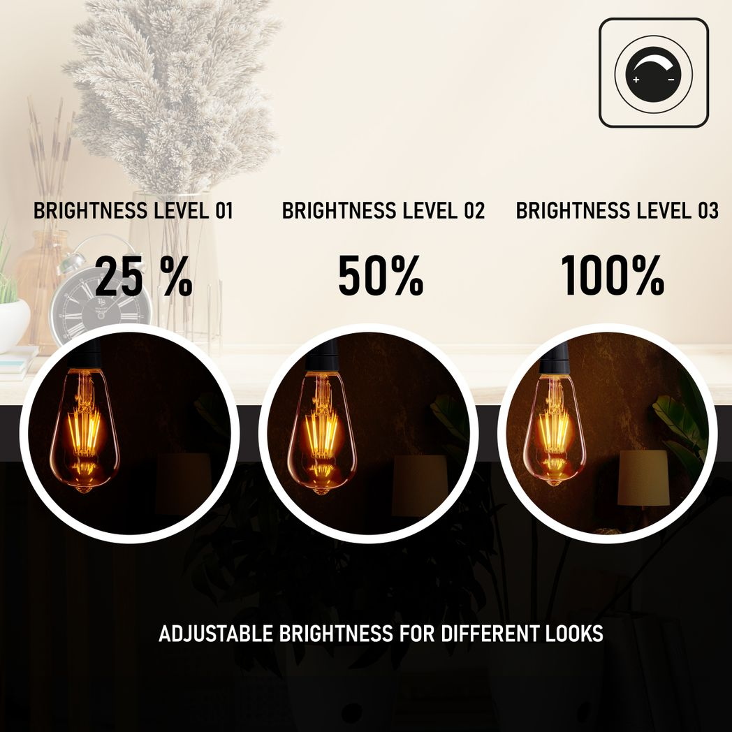 2Pack E27 LED Edison Dimmable Vintage Amber Glass Warm white 2700K Light Bulb