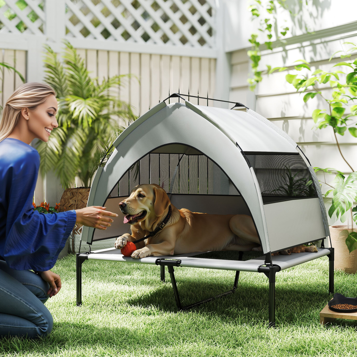 Dog House