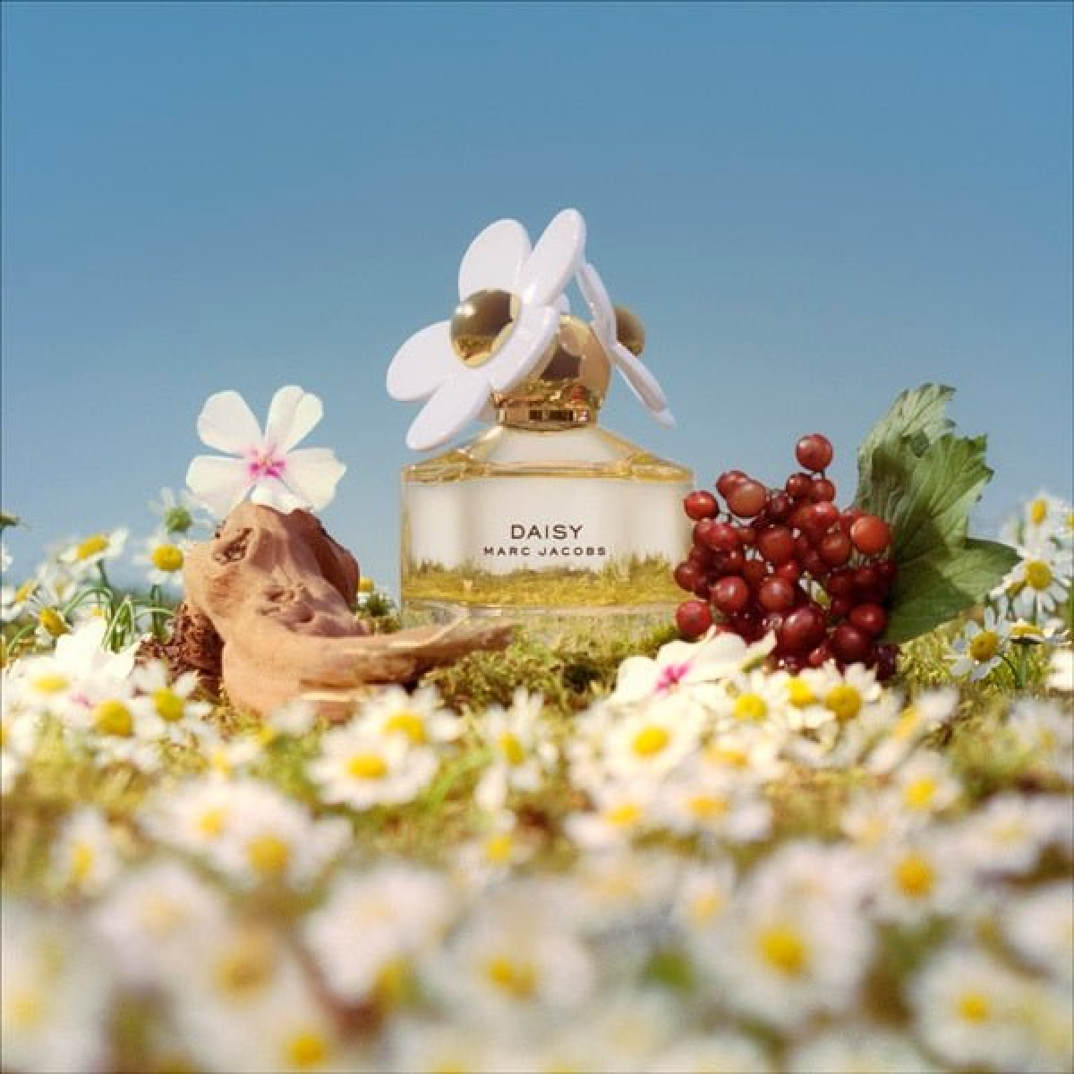 Marc Jacobs Daisy Eau De Toilette Spray 200ml