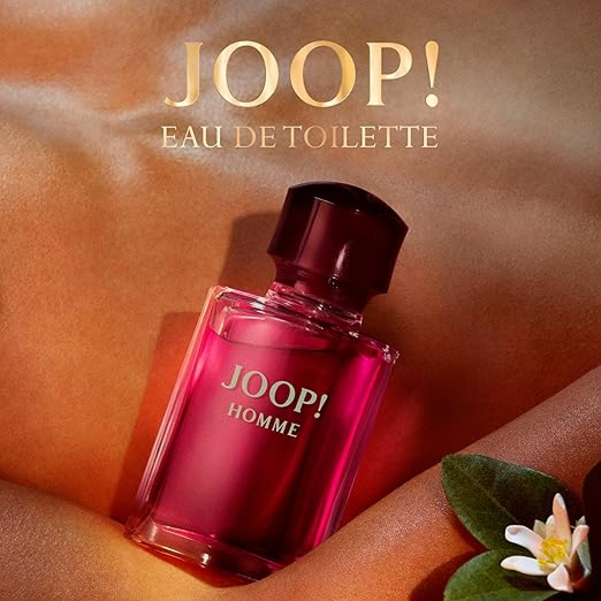 Joop! Homme Eau De Toilette Spray 75ml