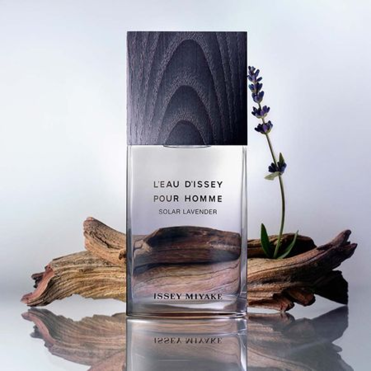 Issey Miyake Solar Lavender Eau De Toilette Spray 50ml