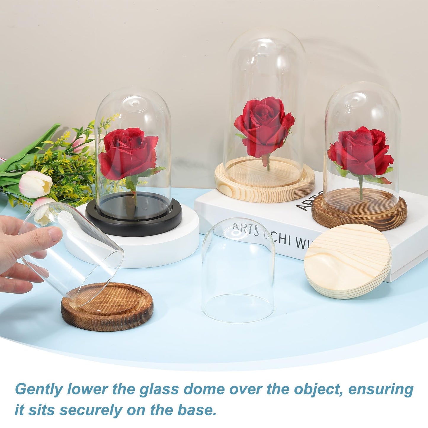 sourcing map Glass Cloche Display Dome, 5.9" x 3.5" Glass Dome Display Case Wood Base Tabletop Jar Case Decorative Bell Jar for Plant Home Decor