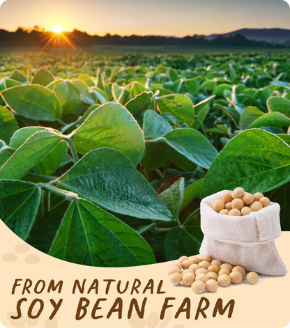 Soy Wax, BOYUJK Premium Natural Candle Wax, 100% Soy Wax for Candle Making from Organic Farm, No additives, Harmless and Pure (10KG)