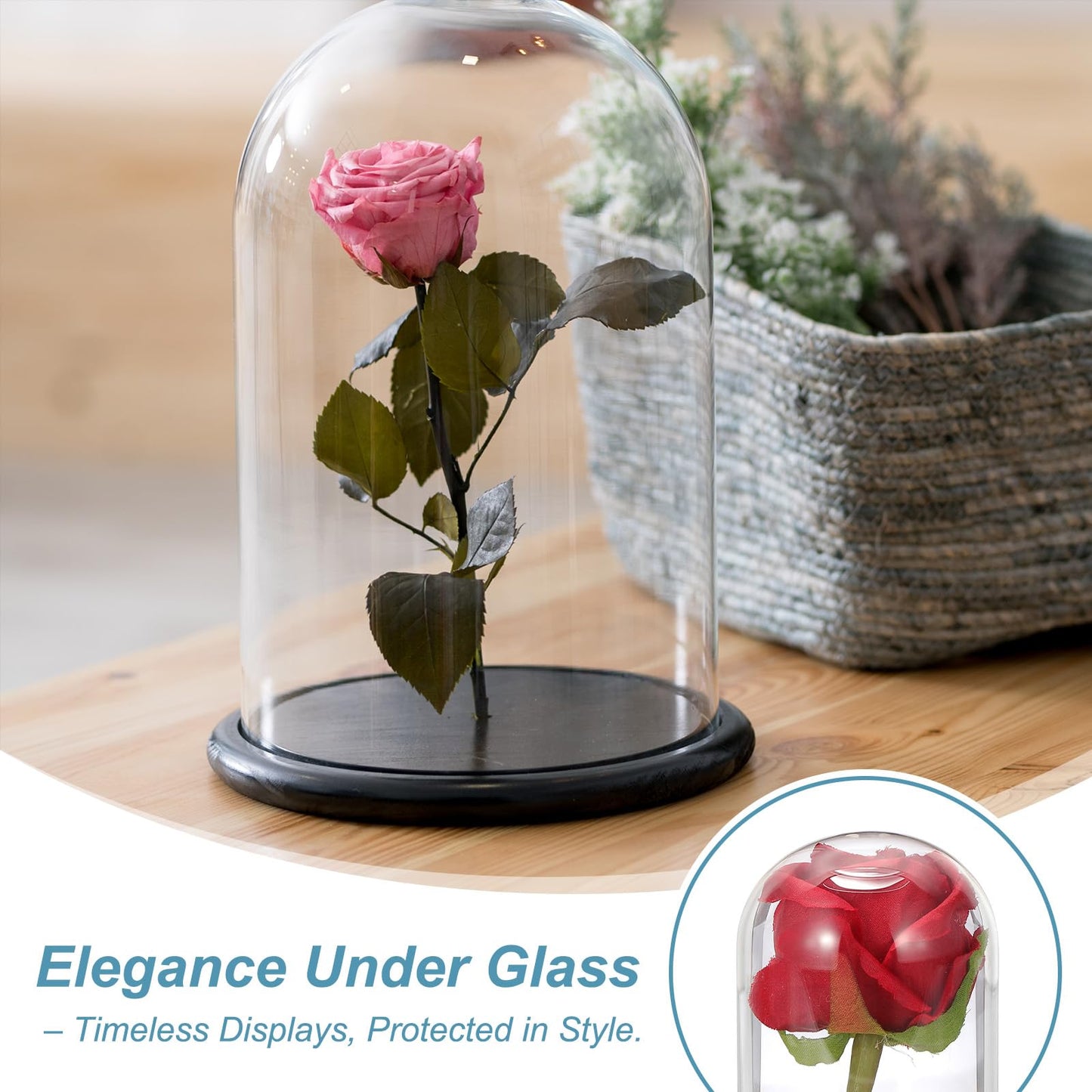 sourcing map Glass Cloche Display Dome, 5.9" x 3.5" Glass Dome Display Case Wood Base Tabletop Jar Case Decorative Bell Jar for Plant Home Decor