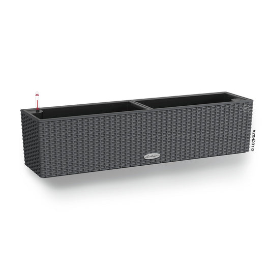 Lechuza Self Watering Plant Pot BALCONERA Cottage 80 Indoor and Outdoor Flower Rattan Look Plastic Plant Pot and Window Box with Drainage Hole H19 L80