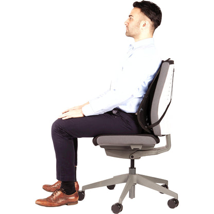 Fellowes Suites Mesh Back Support for Office Chair with Tri-Tensioning, Graphite, Standard, 9191301