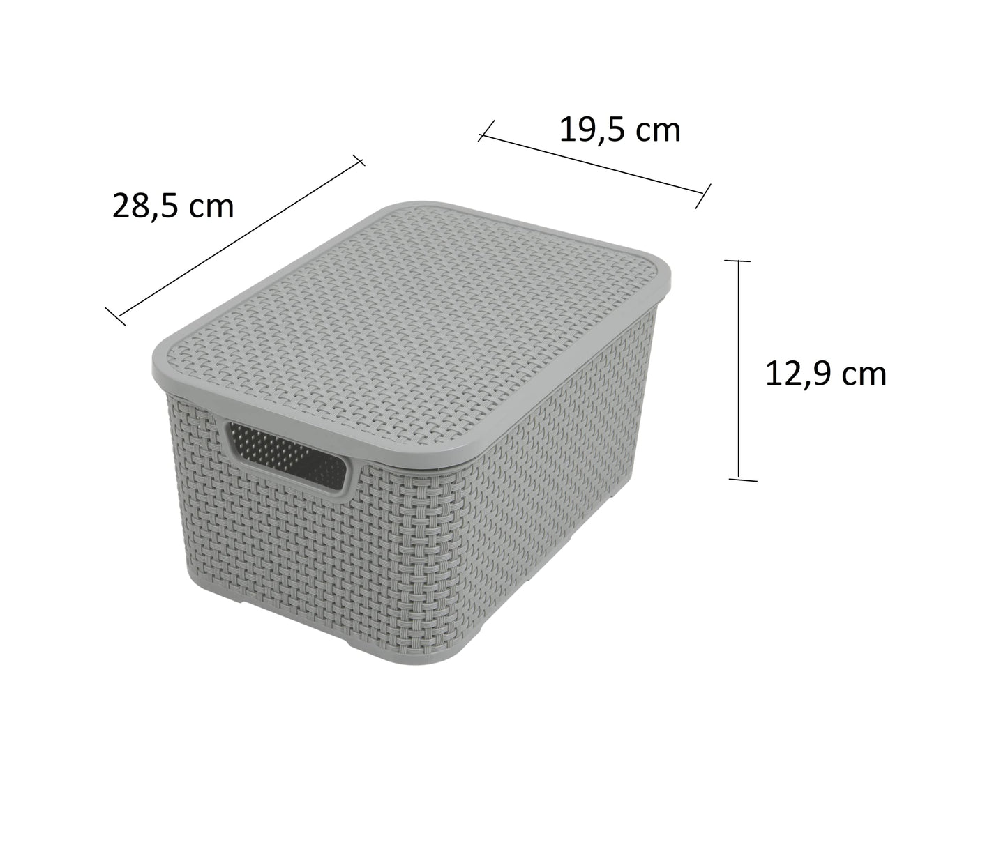 BranQ - Home essential Set of 2 baskets with lid in rattan design, size S 7 L, BPA free, PP plastic, light gray, 28.5 x 19.5 x 12.9 cm, 2 pieces, S