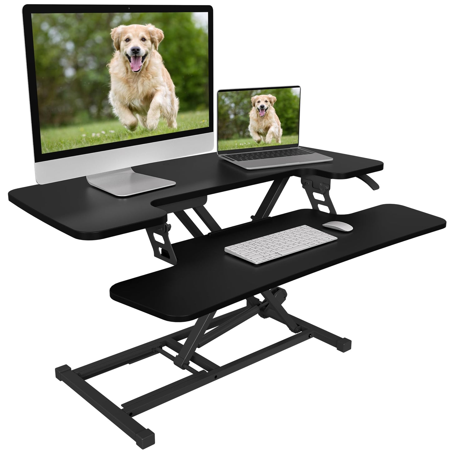 FLEXISPOT Standing Desk Converter Sit to Stand up Desk Riser with Dual Monitor and Laptop