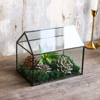 WONSUN House Shape Close Glass Geometric Terrarium - Tabletop Succulent & Air Plant, Flower Pot - Moss Fern Reptile Terrarium Black