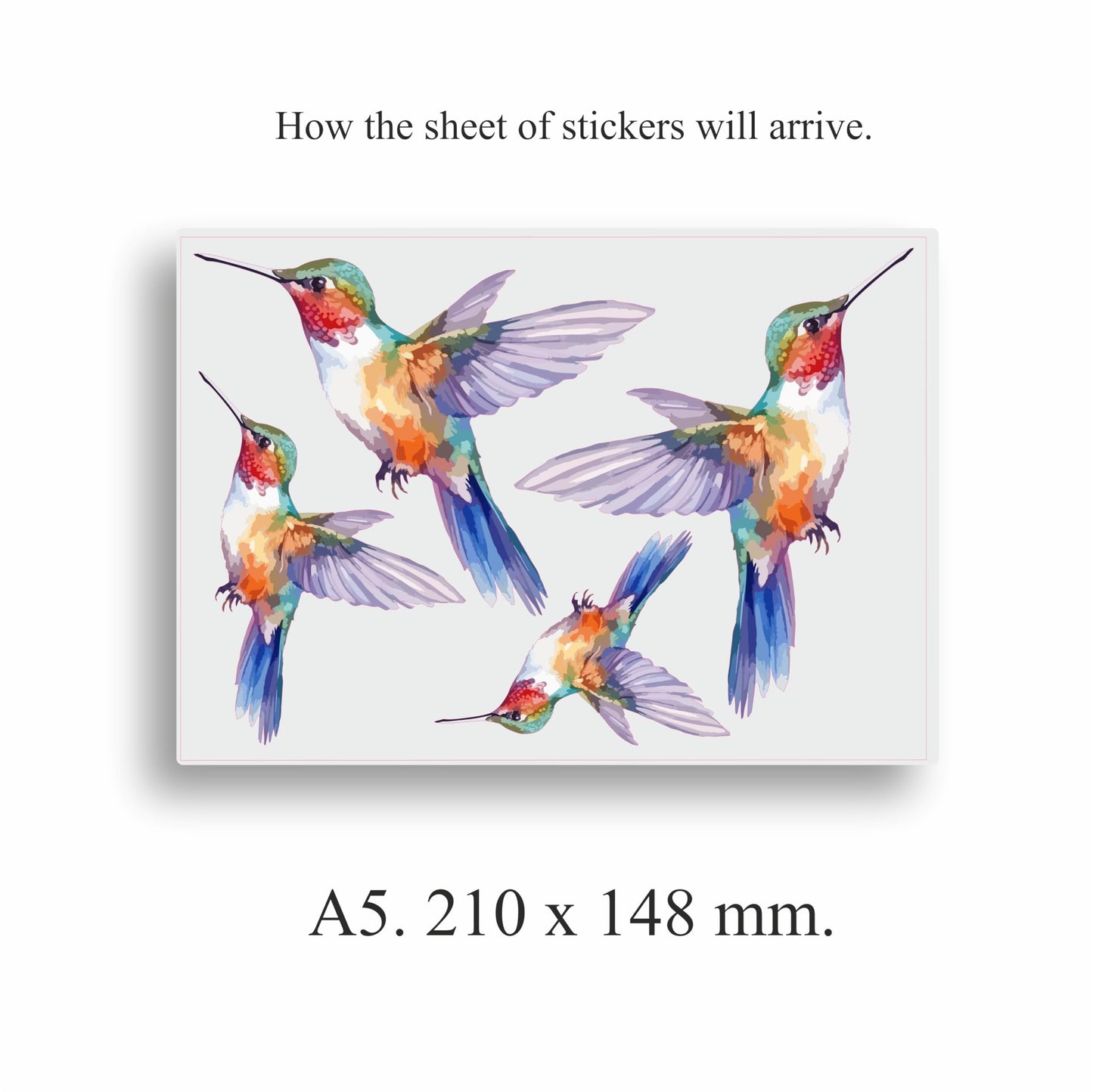 Purple Hummingbird Vinyl Decals, Humming Bird Stickers for Laptops and Wall