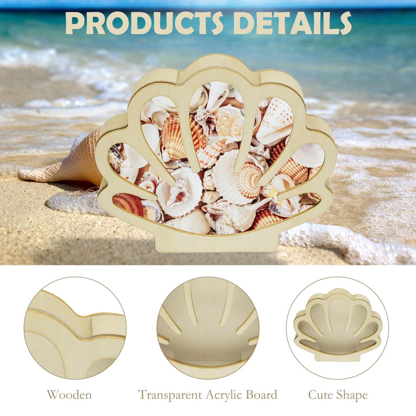 HINGTAI Sea Shell Holder Wooden Seashell Display Case Handmade Small Shadow Box Home Decoration with Clear Acrylic Panel Coastal Decor Bedroom Decor