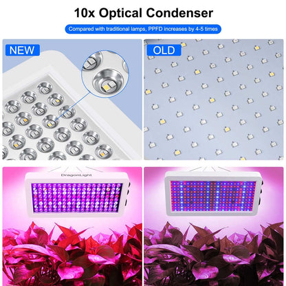 2024 Newest BW2000 LED Grow Lights Double Chips Full Spectrum with 3-Metre Cable for Greenhouse and Indoor Plant Veg and Flower GrowingWhite