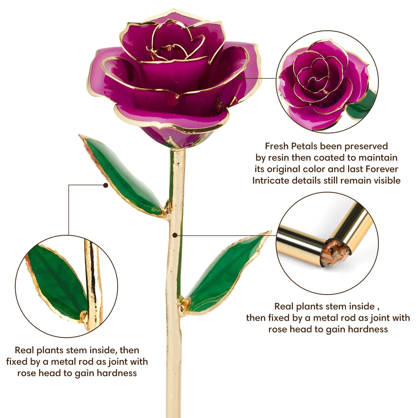 Ariceleo Gold Dipped Infinity Rose Last Forever Flower Decor, Birthday Gift for Women in Her Birthday Valentines Day Mothers Day, Resin Preserved Rose