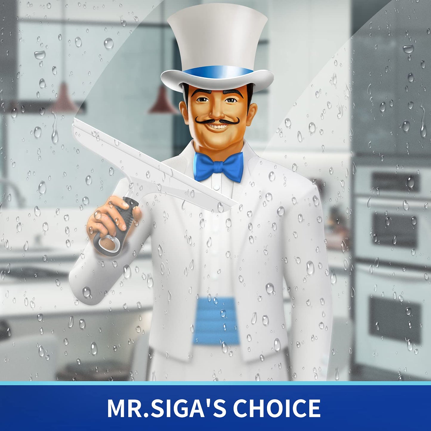 MR.SIGA Silicone Squeegee for Shower Doors, 25 cm/10 inch, White & Black