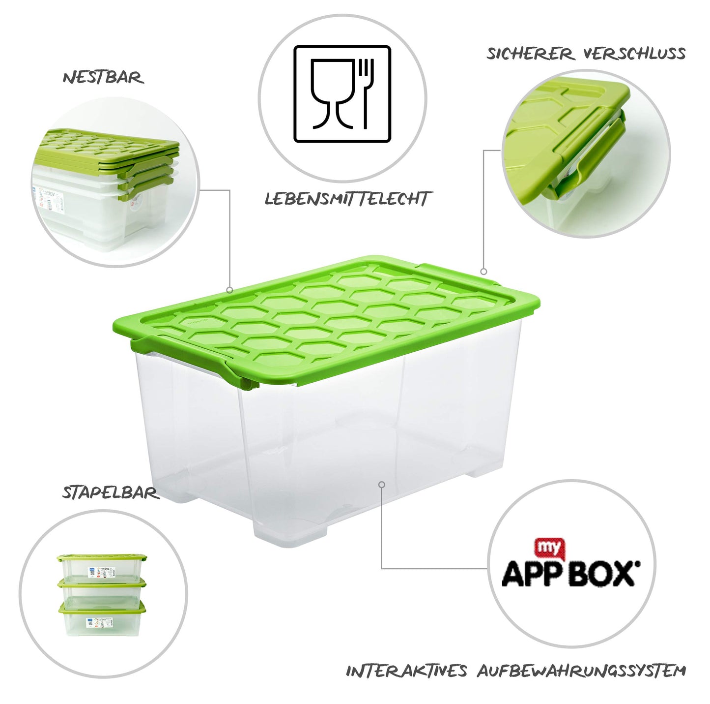Rotho Evo Safe Keeping Set of 3 Storage boxes with lid 40 l, Plastic (PP) BPA-free, green/transparent, 3 x 44l (59,0 x 39,5 x 28,0 cm)