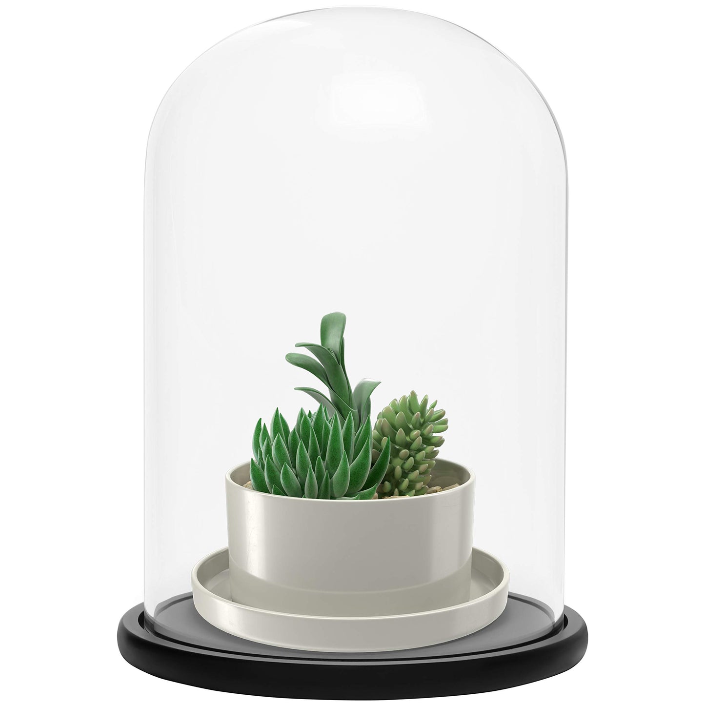BELLE VOUS Glass Dome Cloche Bell Jar with Black Wooden Base - 30cm/11.81 Inches - Clear Decorative Tabletop Display Case with Tray for Fairy Lights,
