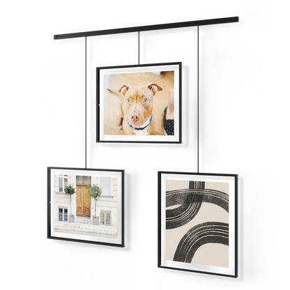 Umbra Exhibit Set of Three 8x10 Picture Frames, Black, metal